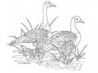 issues-ssw23-Original-Pattern