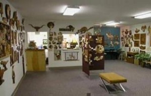 Studio image from http://www.intarsia.com