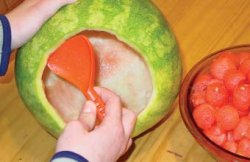 moonlight-stallion-step1