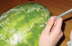 moonlight-stallion-step3