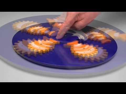 Shark Bait Kinetic Sculpture Video