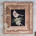 WEB-Winter-Birds-Lead