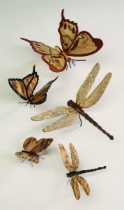 Butterflies and Dragonflies