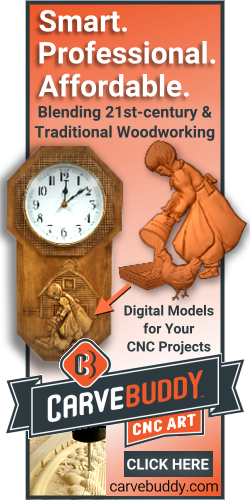 GO_SSW_CarveBuddy_banner_1b_250x500