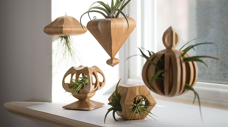 How to Make Simple Wooden Air Plant Holders