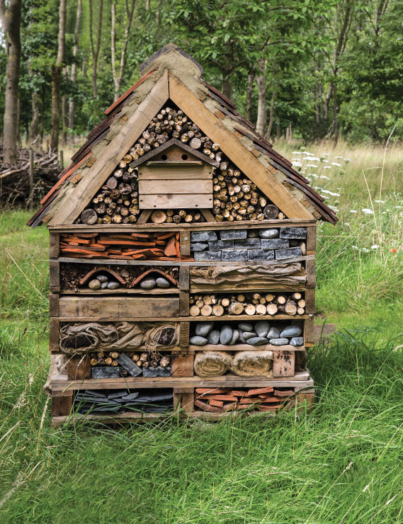 Making an Insect Condo