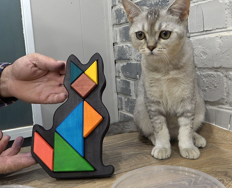 WEB-SSCW86-Dmitry9-Landing-Page