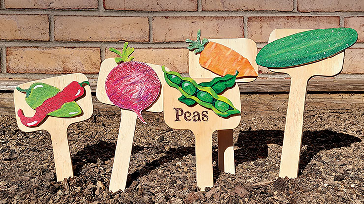 Vegetable Garden Stakes